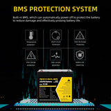 BMS protected lithium iron phosphate battery 